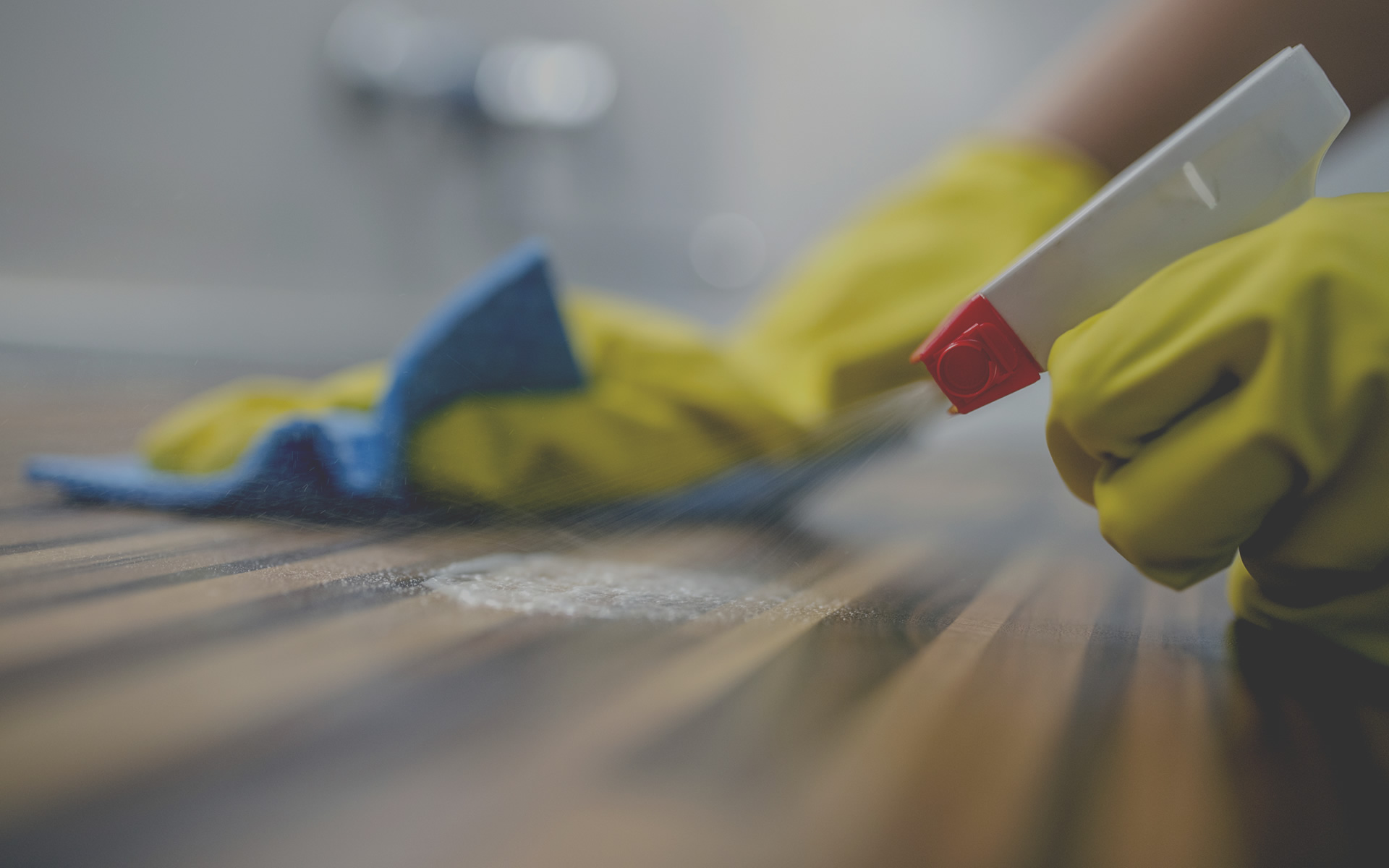 Cleaning Service Provider in Austin Cleaning and Maintenance Services in Austin